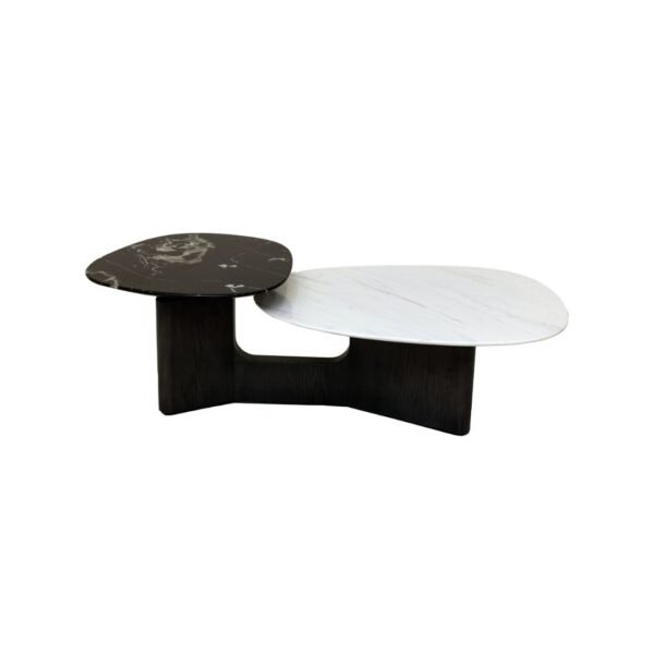 CT1 Coffee Table | Centre Table